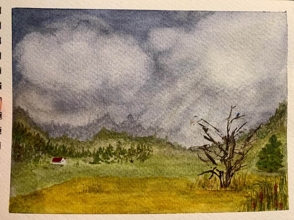Quiet Clearing