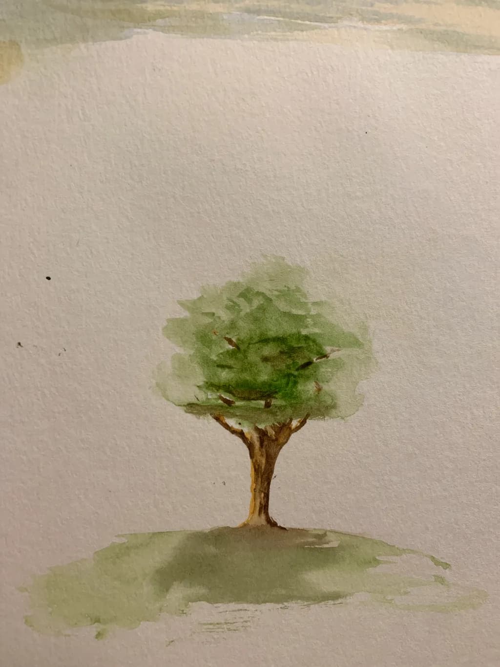 Solitary Grove