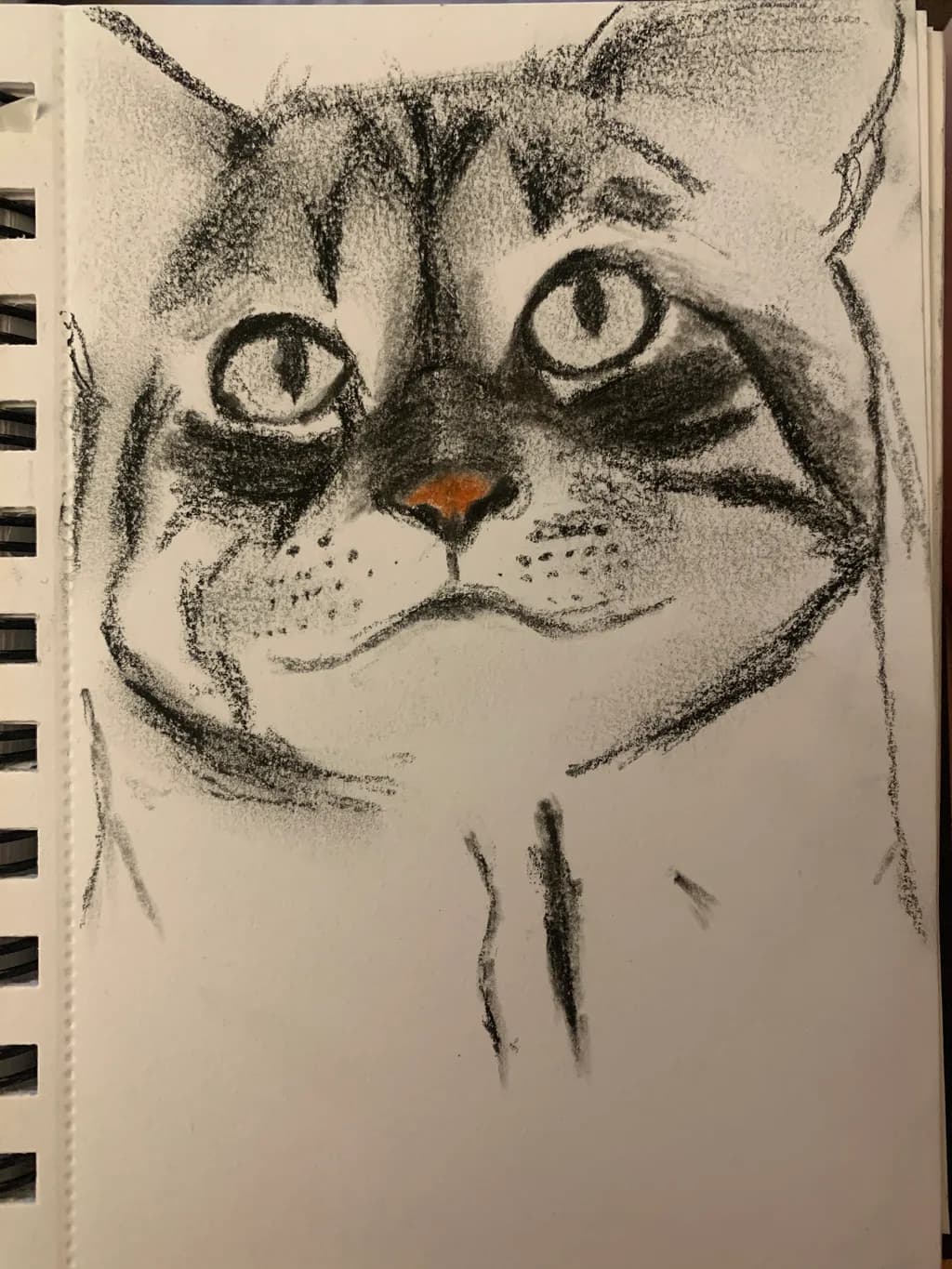 Quiet Gaze