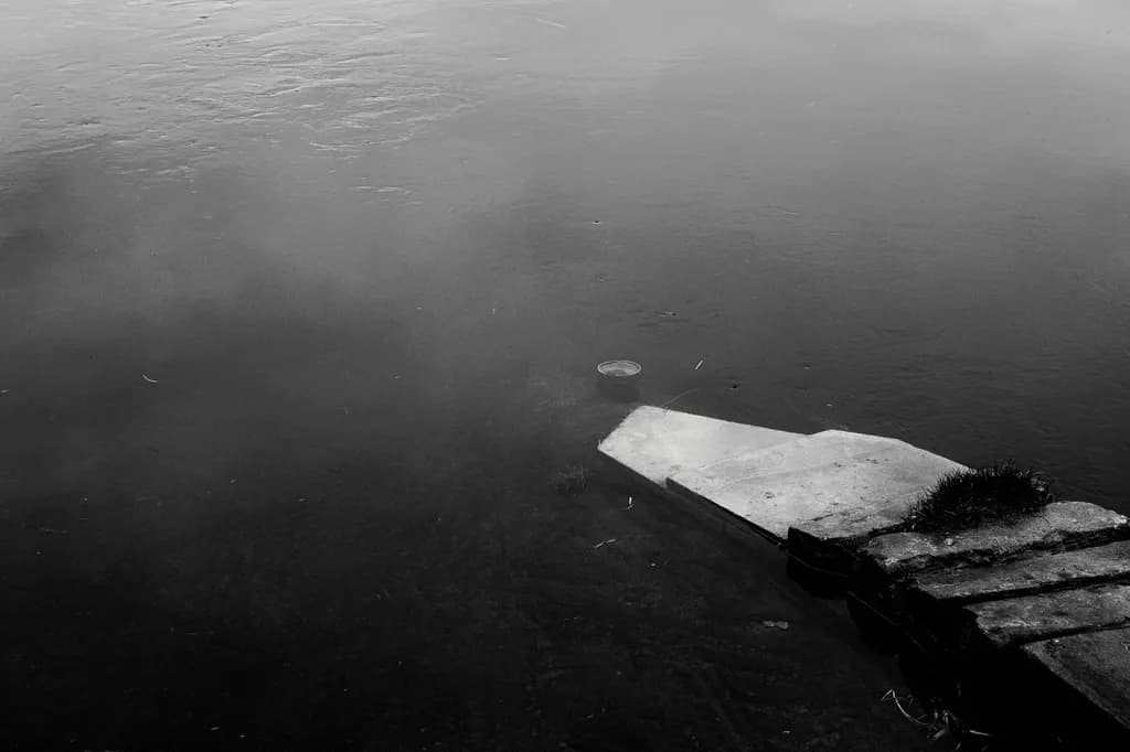 Fading Shoreline