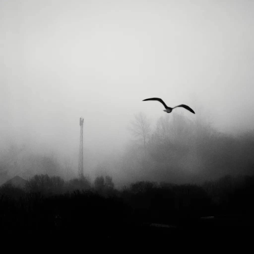 Fogbound Flight
