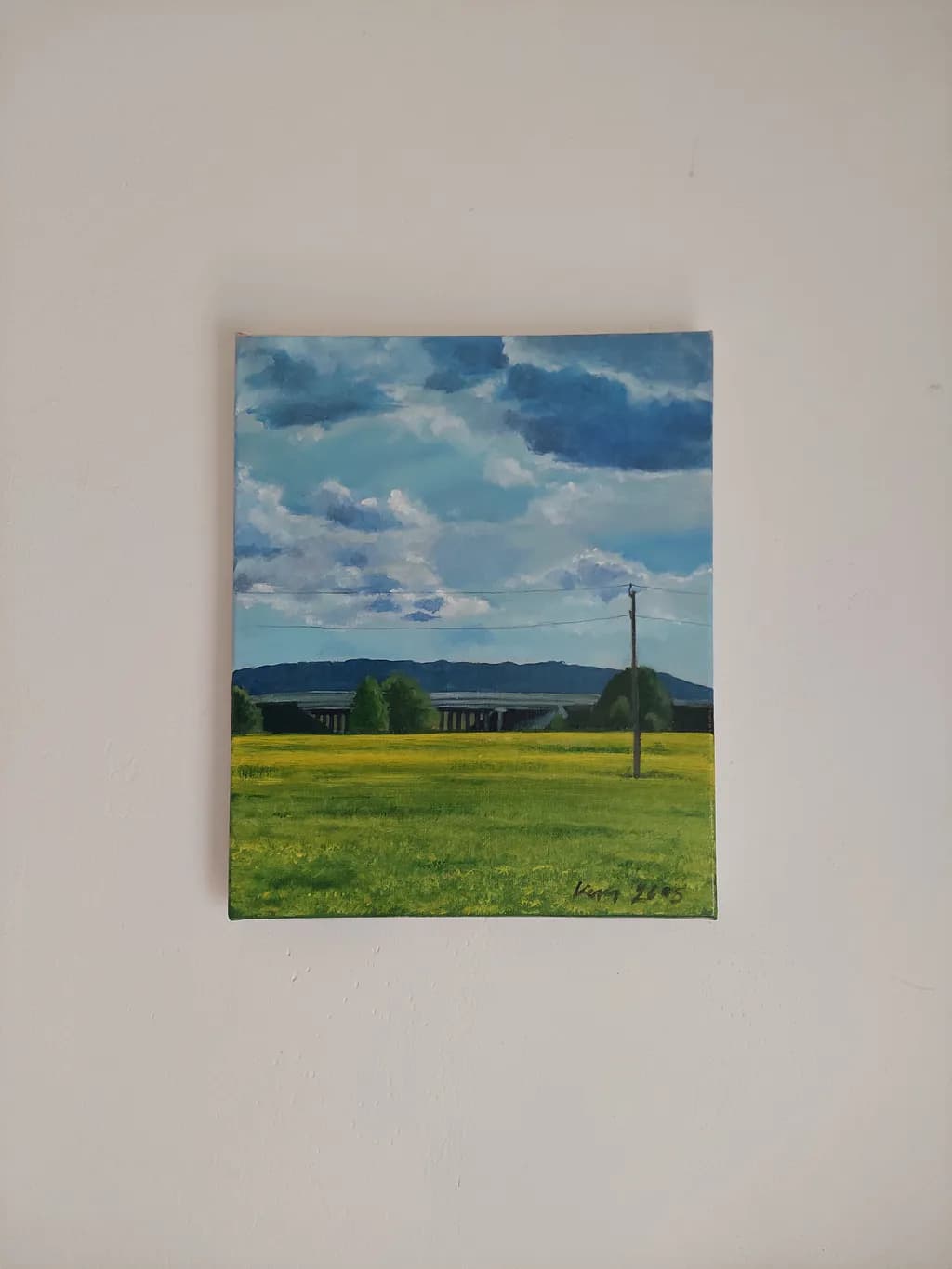 Summer Field Panorama