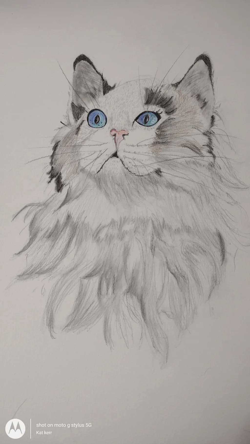 Blue Gaze