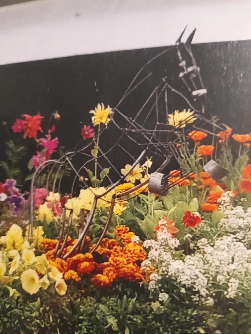 Floral Stallion Frame