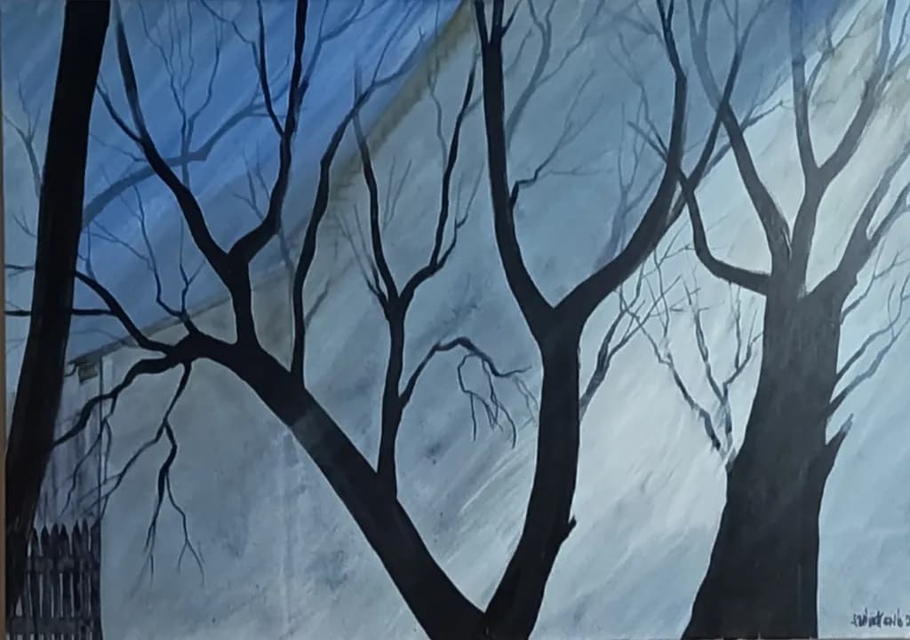 Shadowed Branches