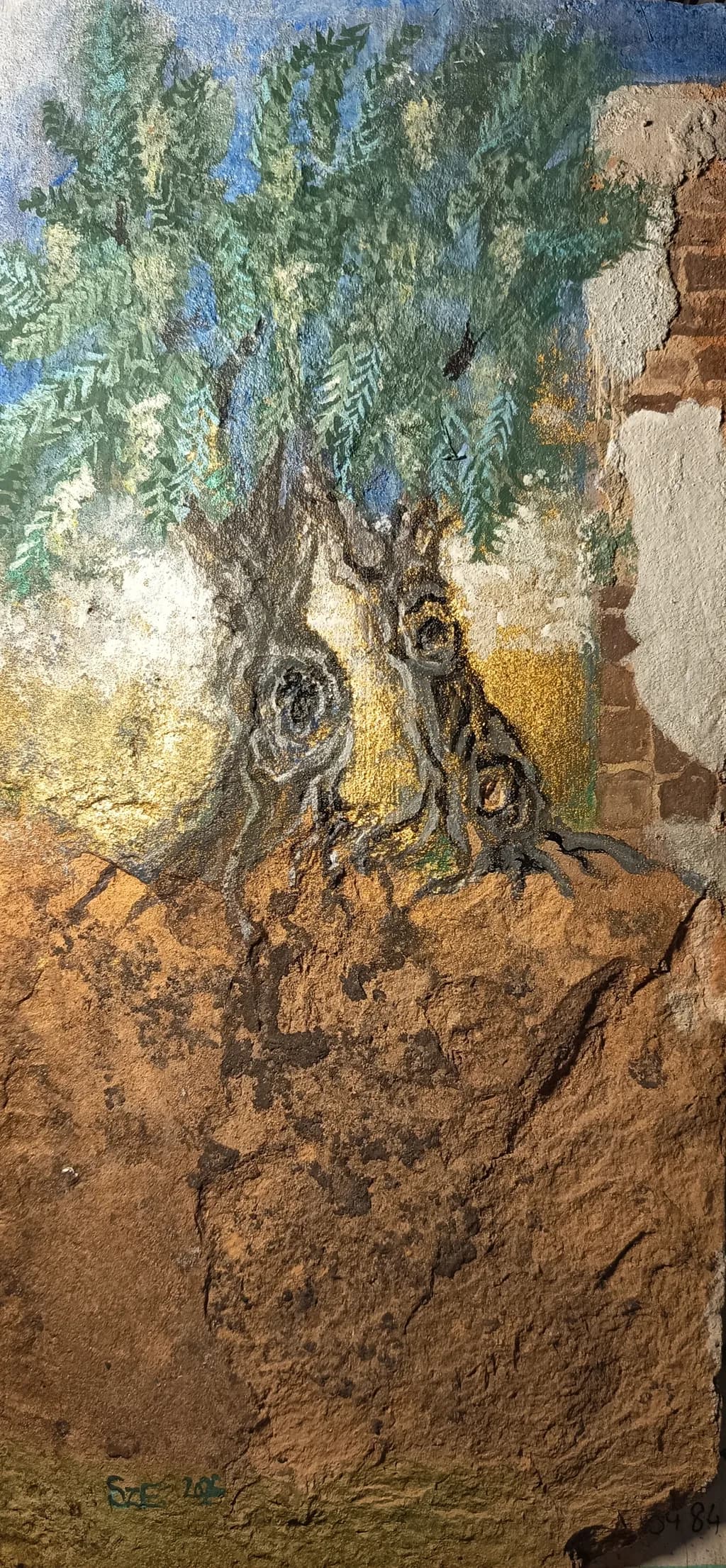Ancient Olive Roots