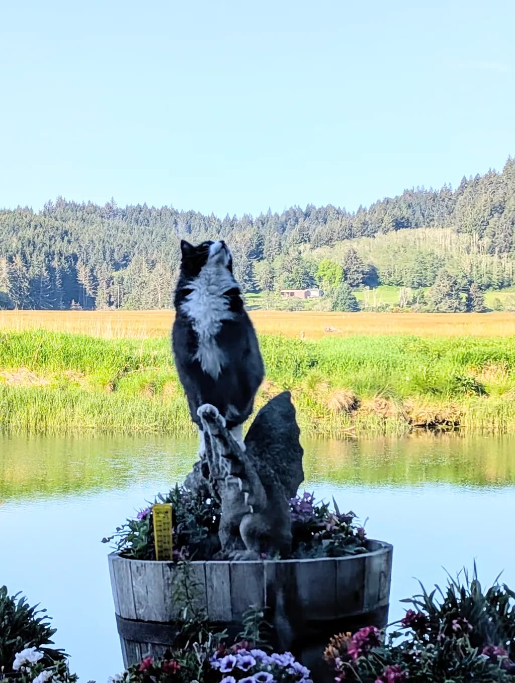 Perched Sentinel