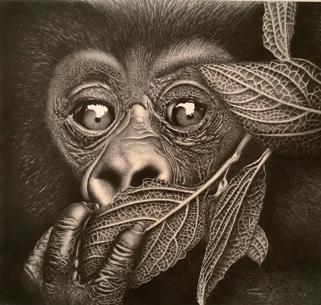 Vulnerable