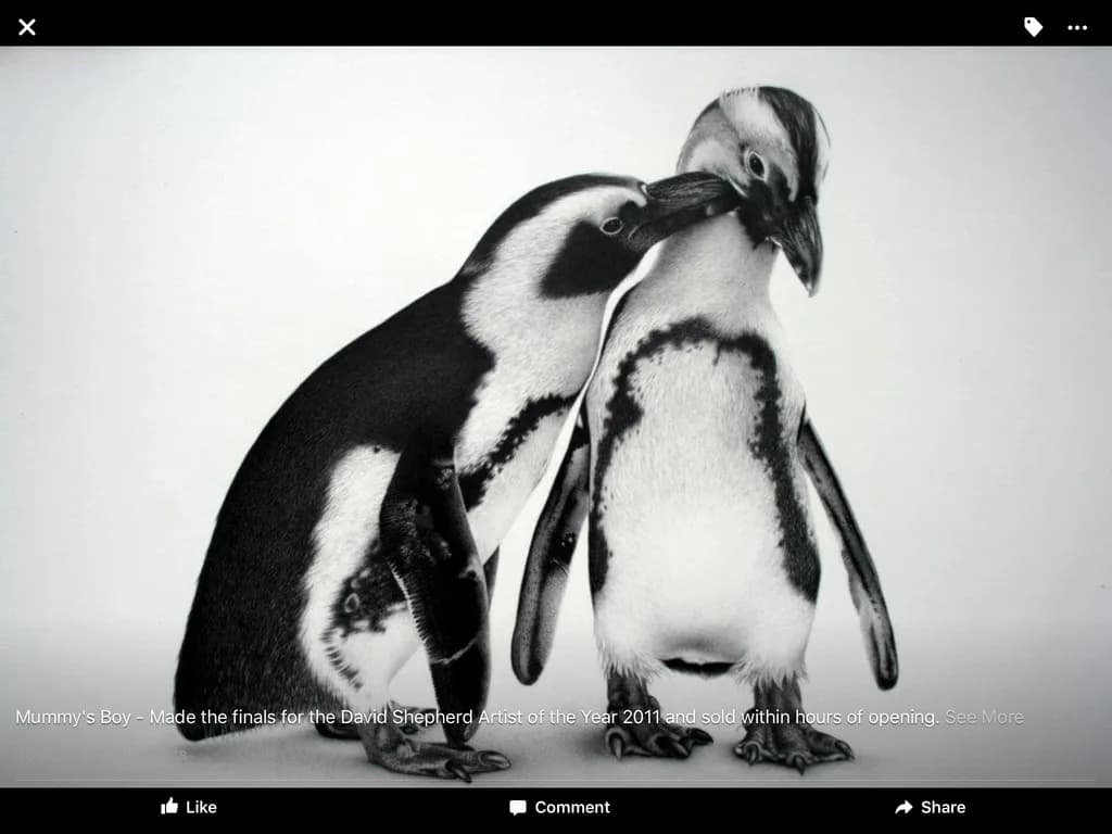 Mummy's Boy