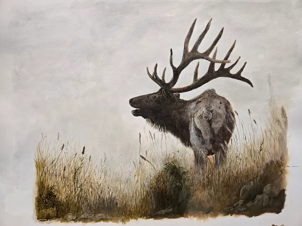 Elk Majesty