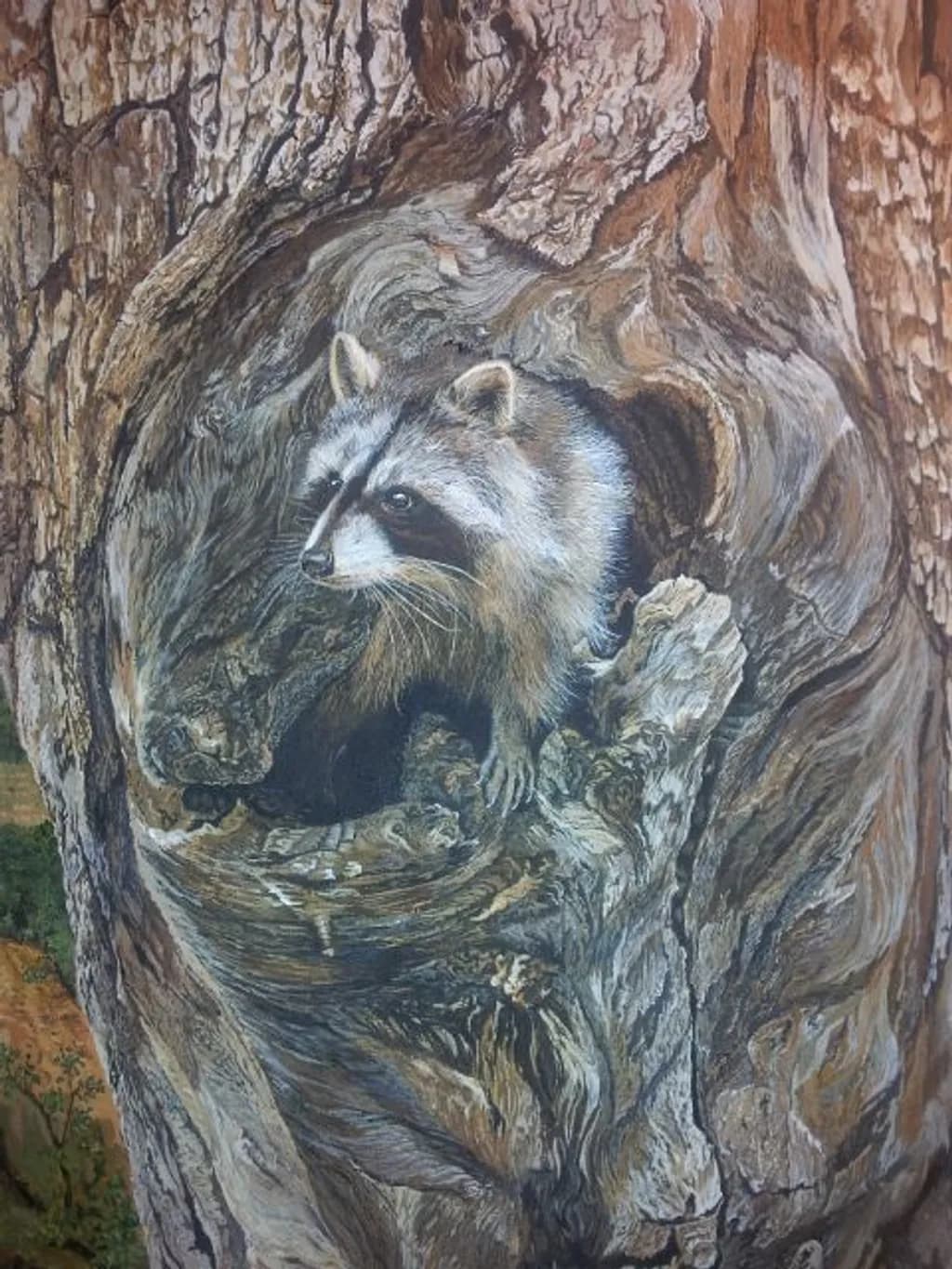 Tree Hollow Raccoon