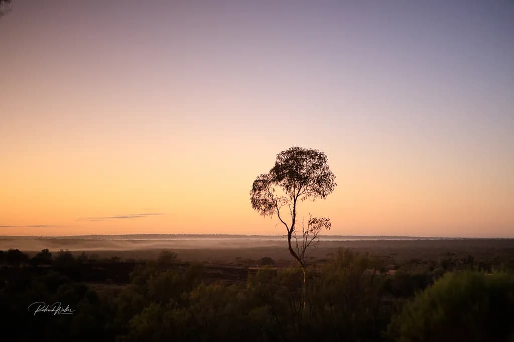 Nullarbor Solitude