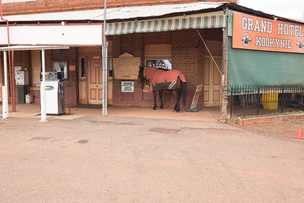 Kookynie One Horse Pub