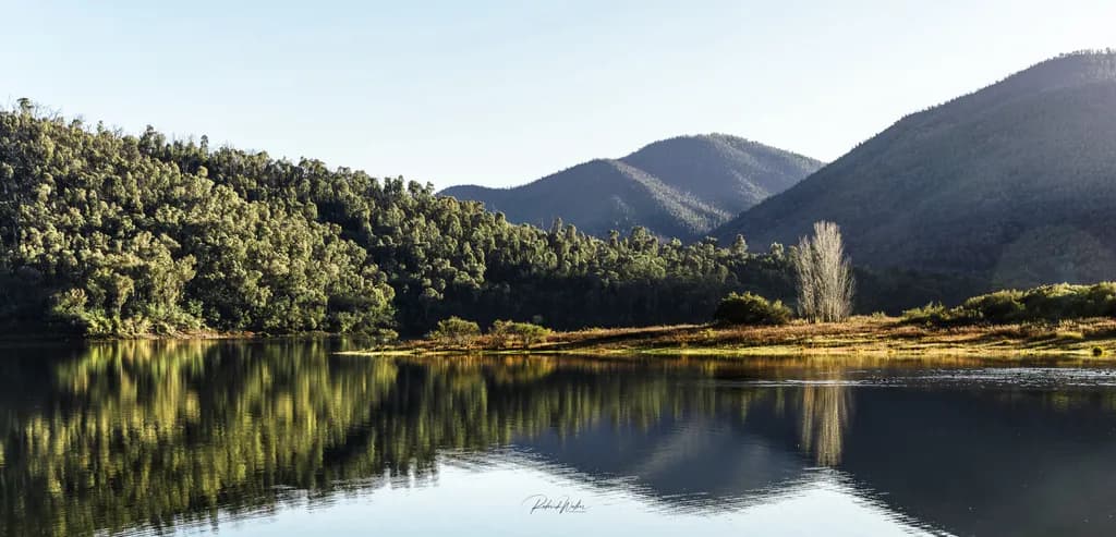 Talbingo Mountain Lake Morning