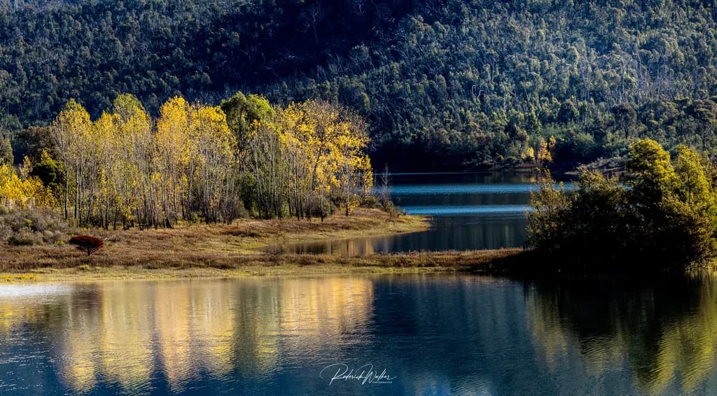 Talbingo Reflection