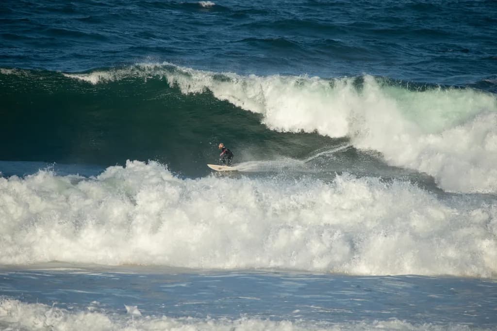 Ocean Surge Rider