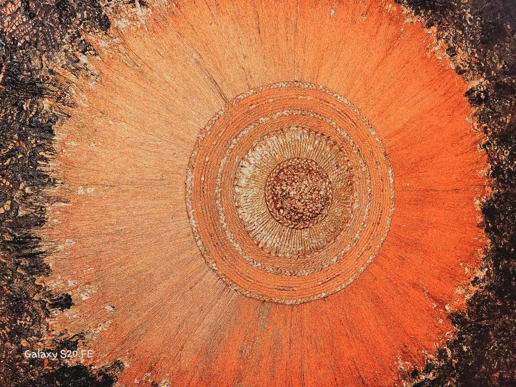 Tree Ring Radiance