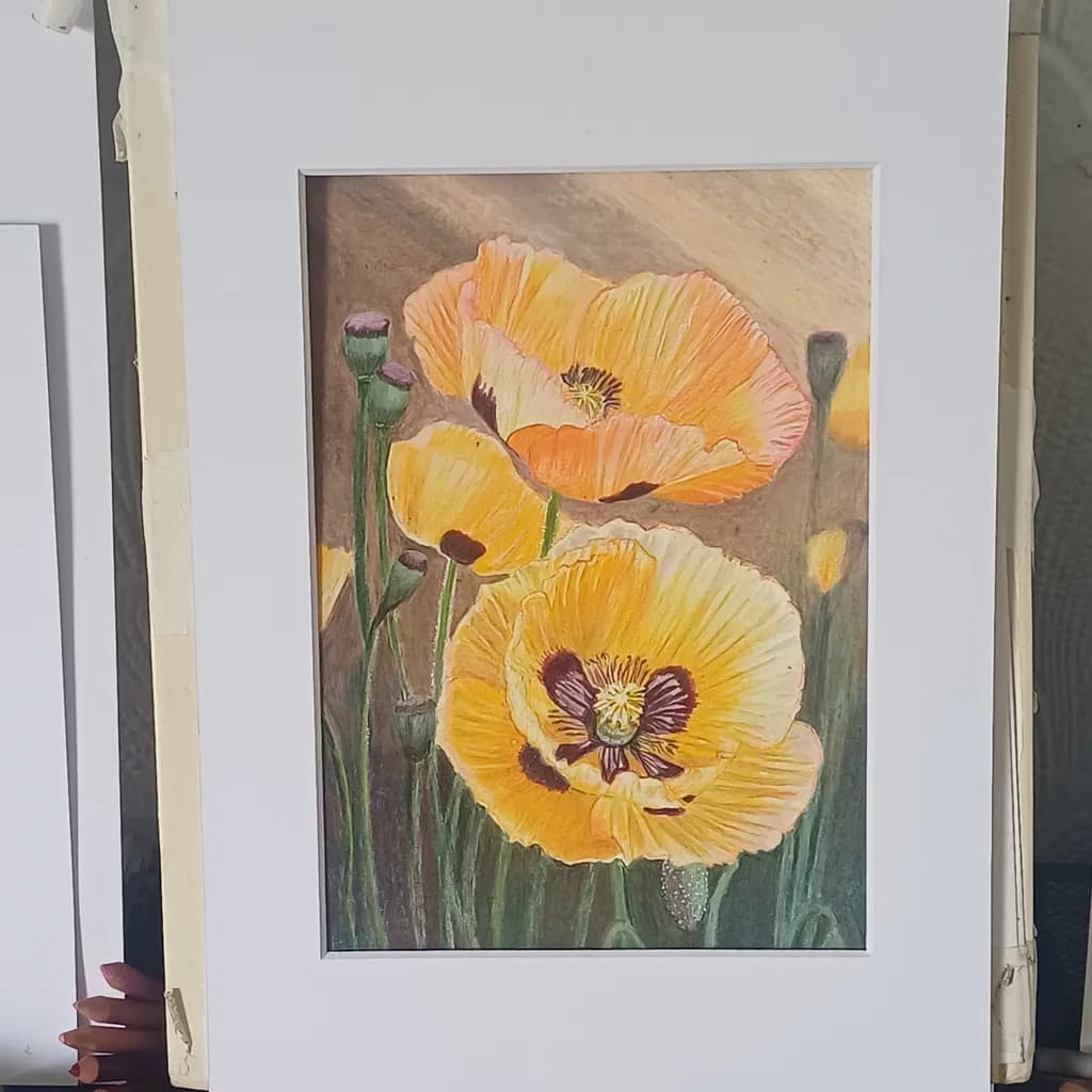 Golden Poppies