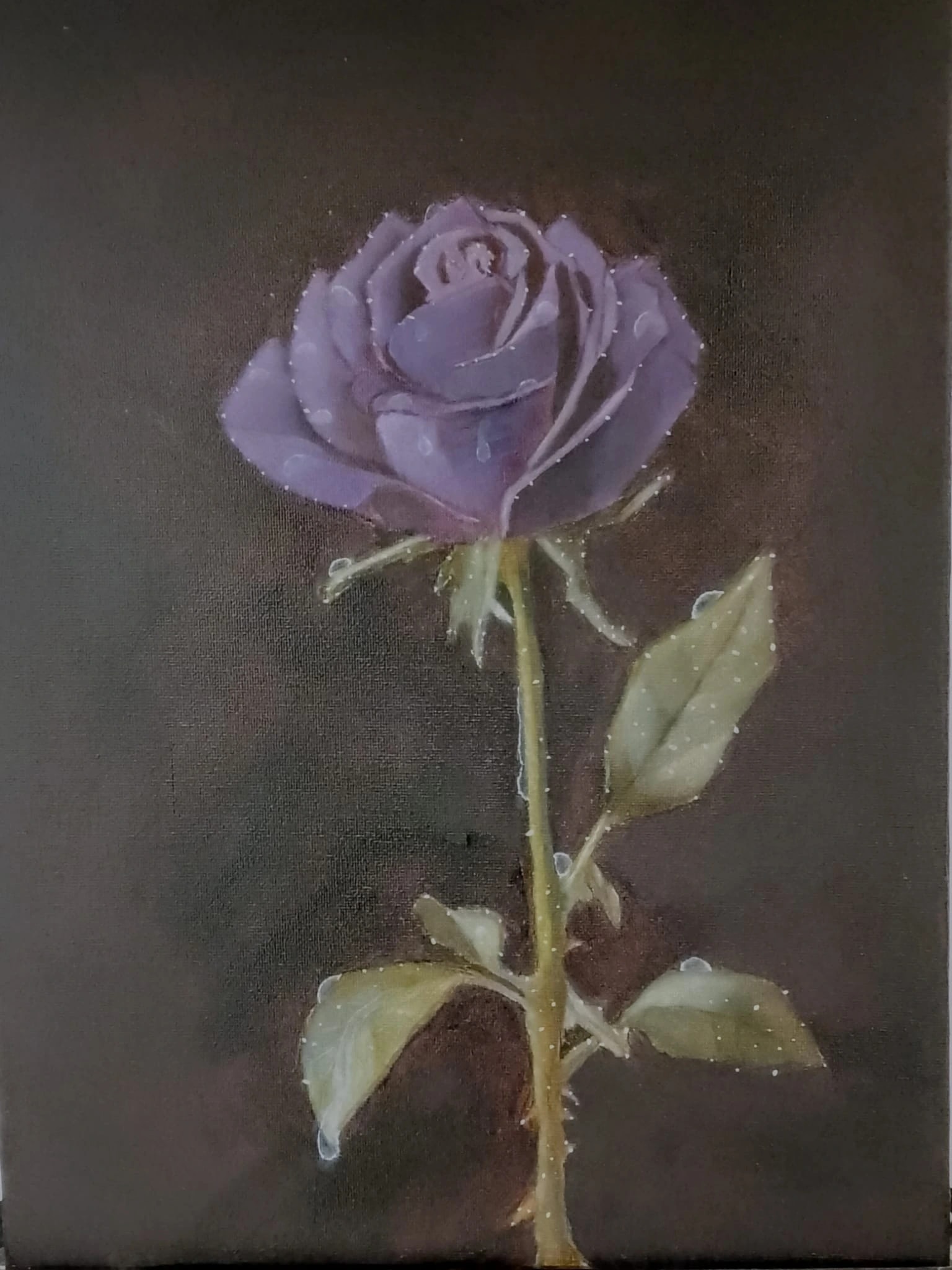Purple Rose Bloom