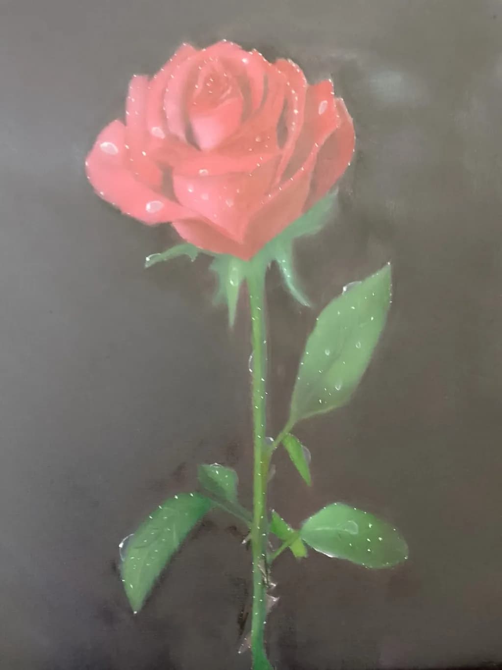 Rose with Dewdrops