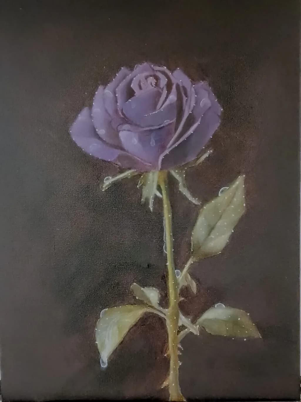 Purple Rose Bloom