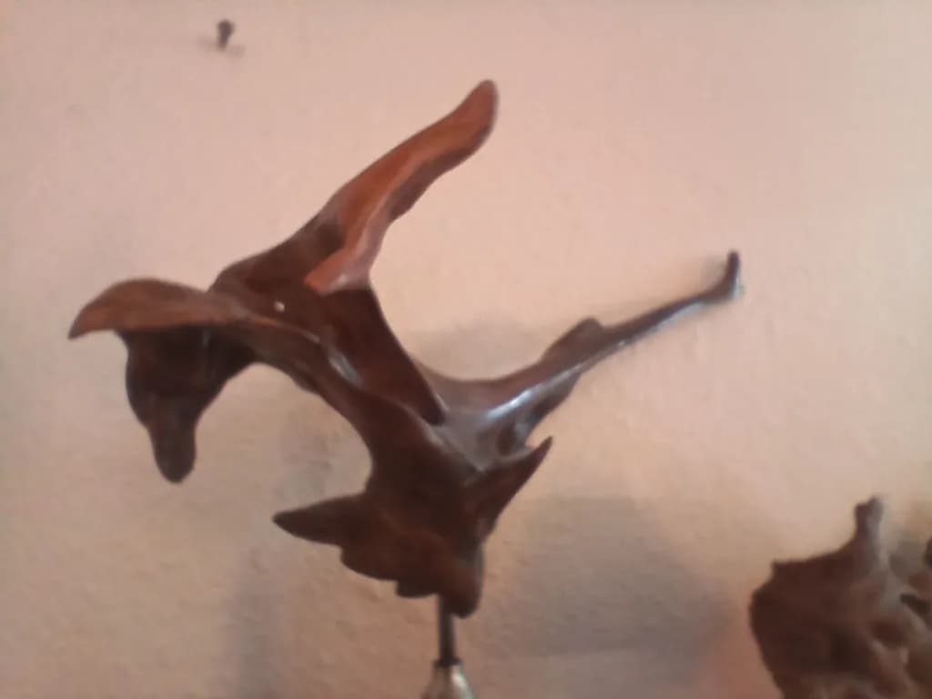 Twisting Driftwood