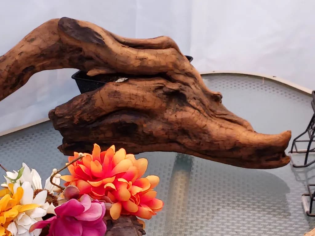 Woodland Dragon Head