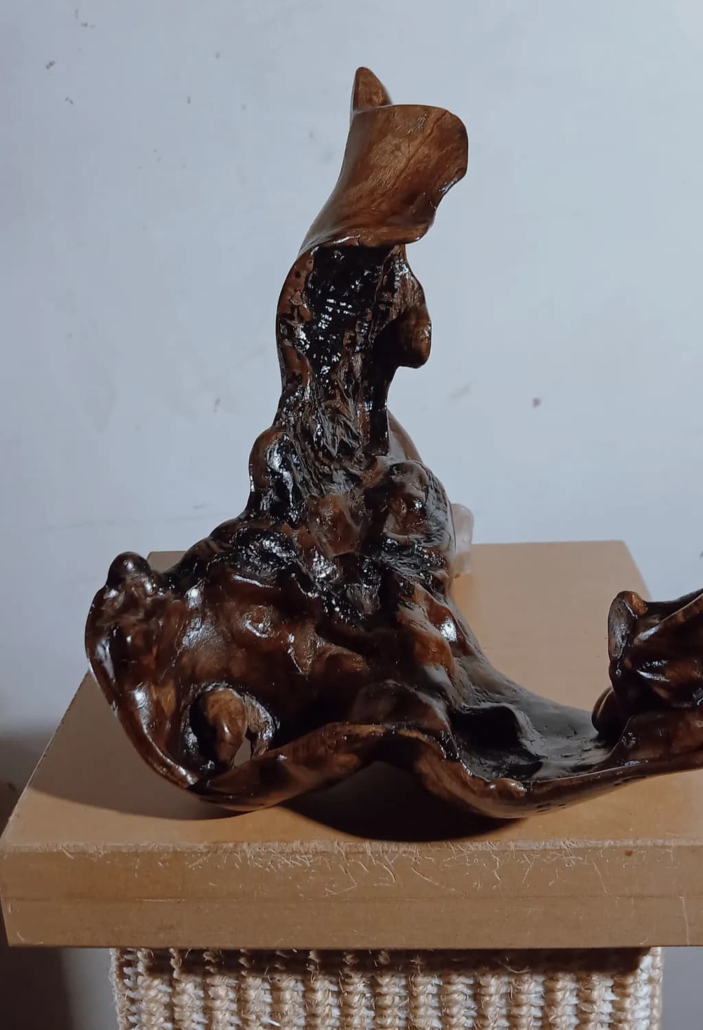 Abstract Wood Form