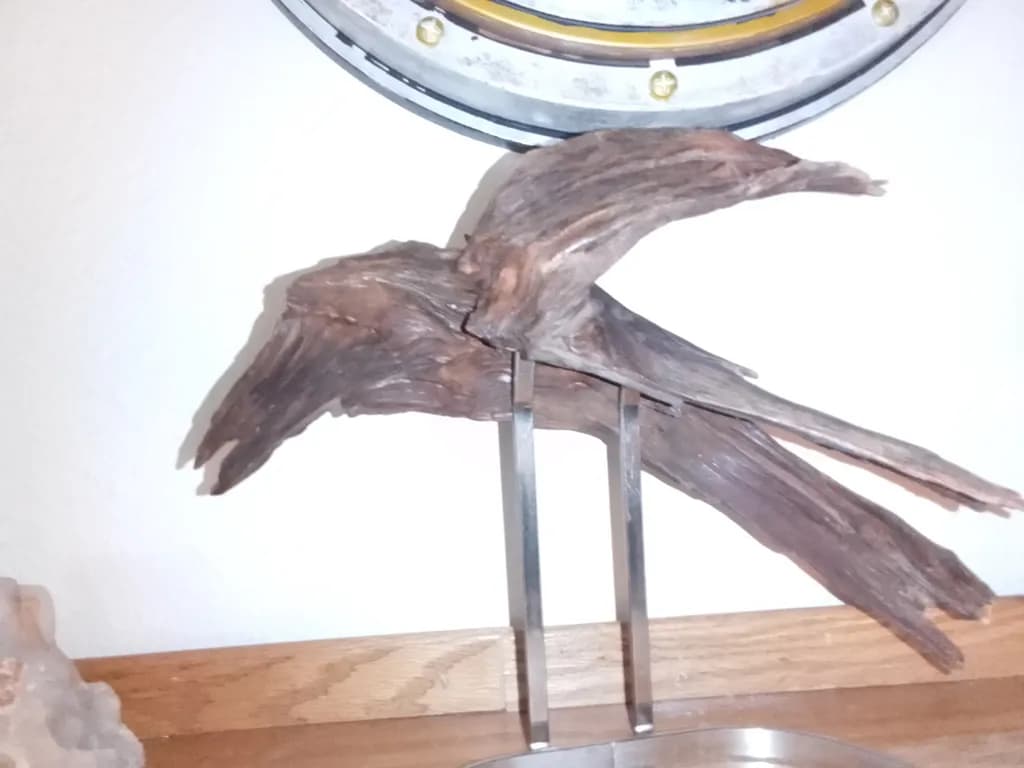 Driftwood Flight