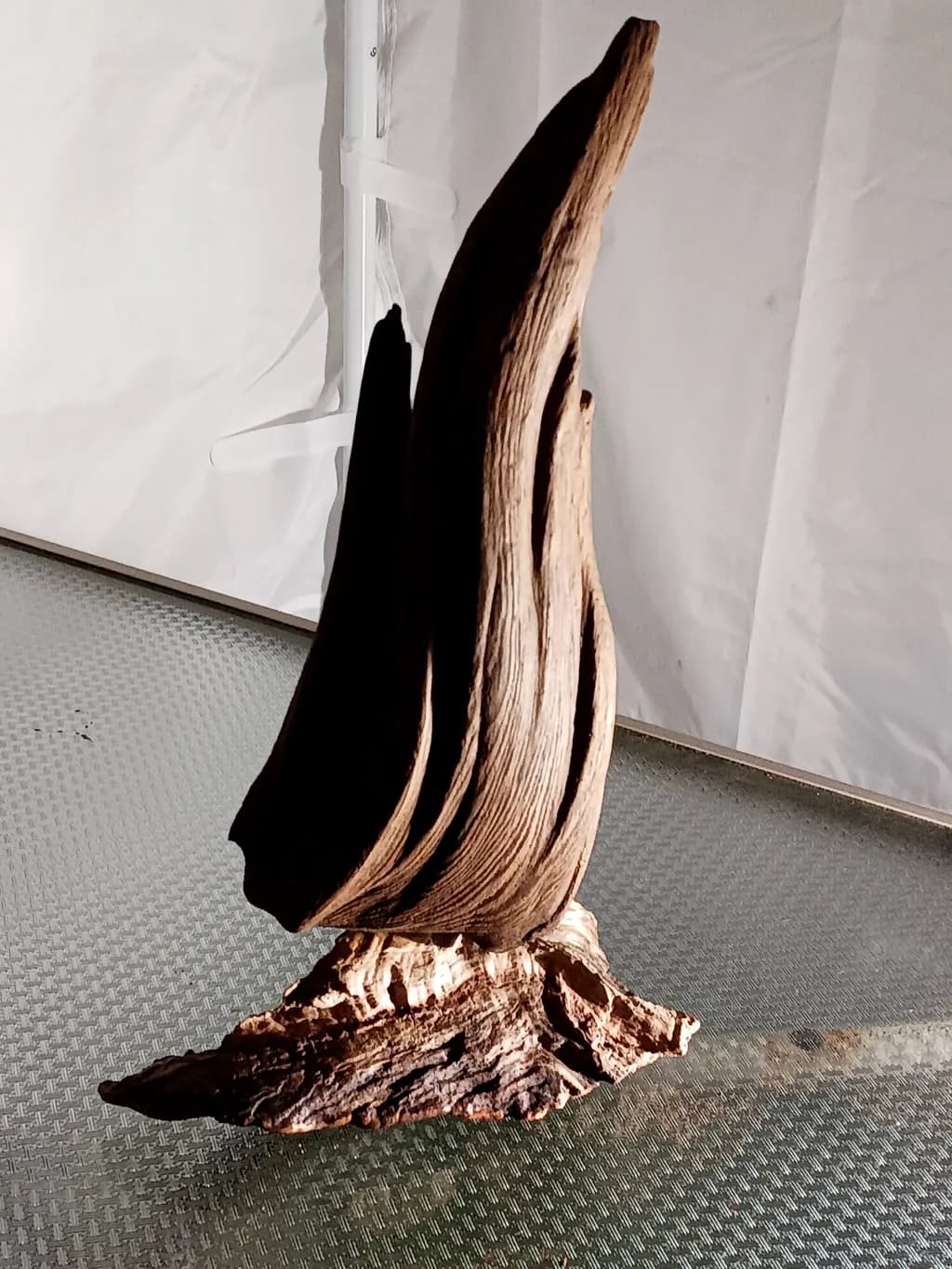 Rising Driftwood