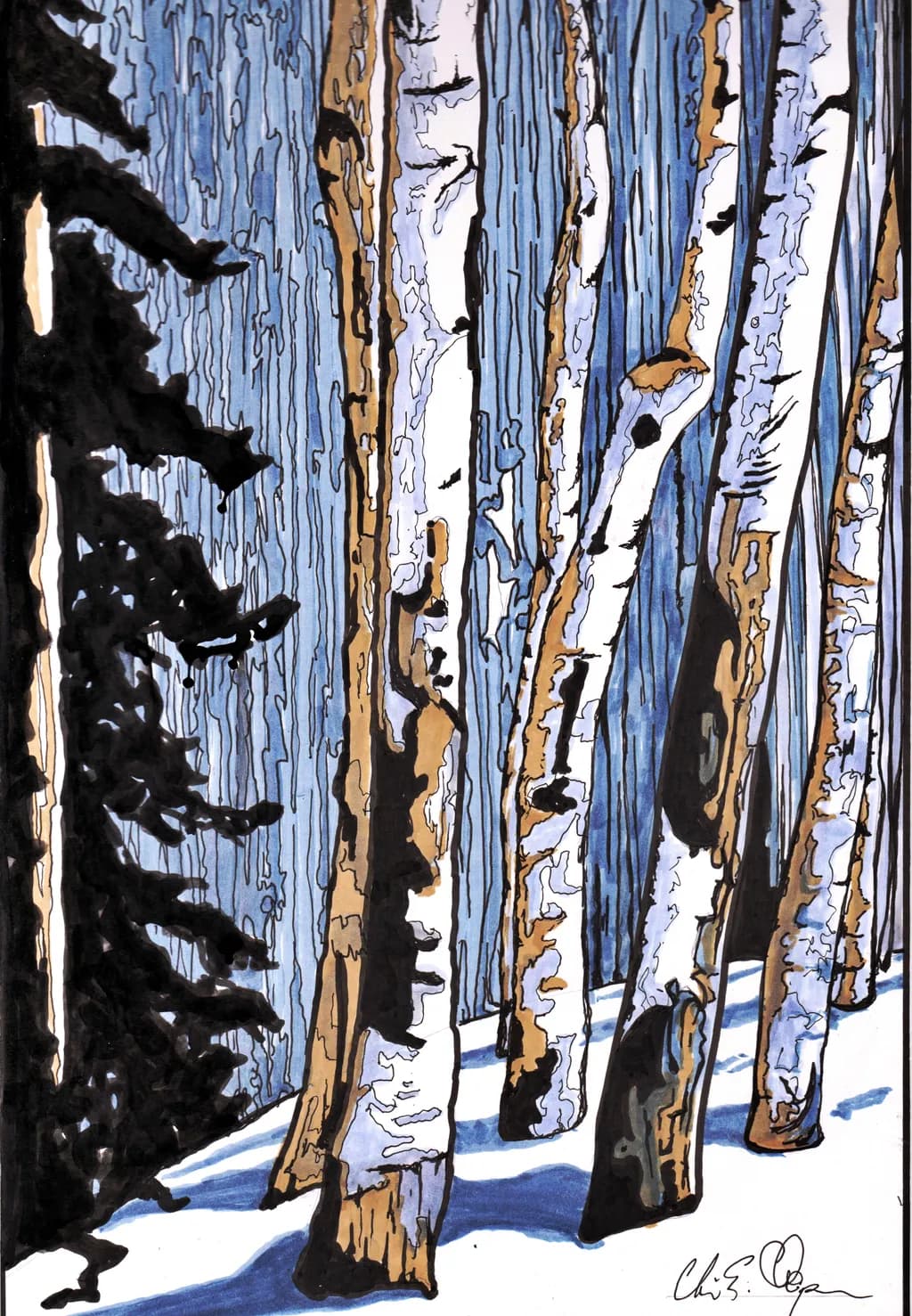 Birchwood Shadows