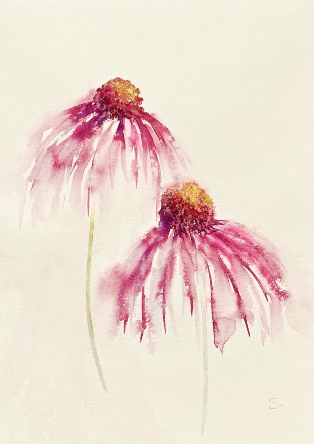 Fading Petals
