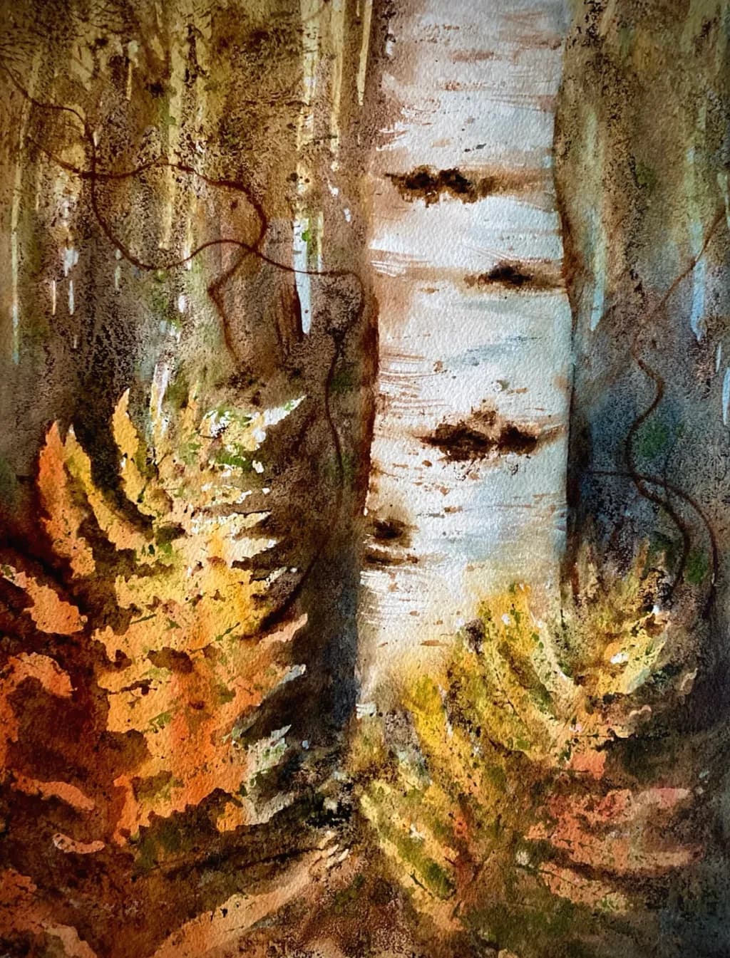 Birch and Ferns