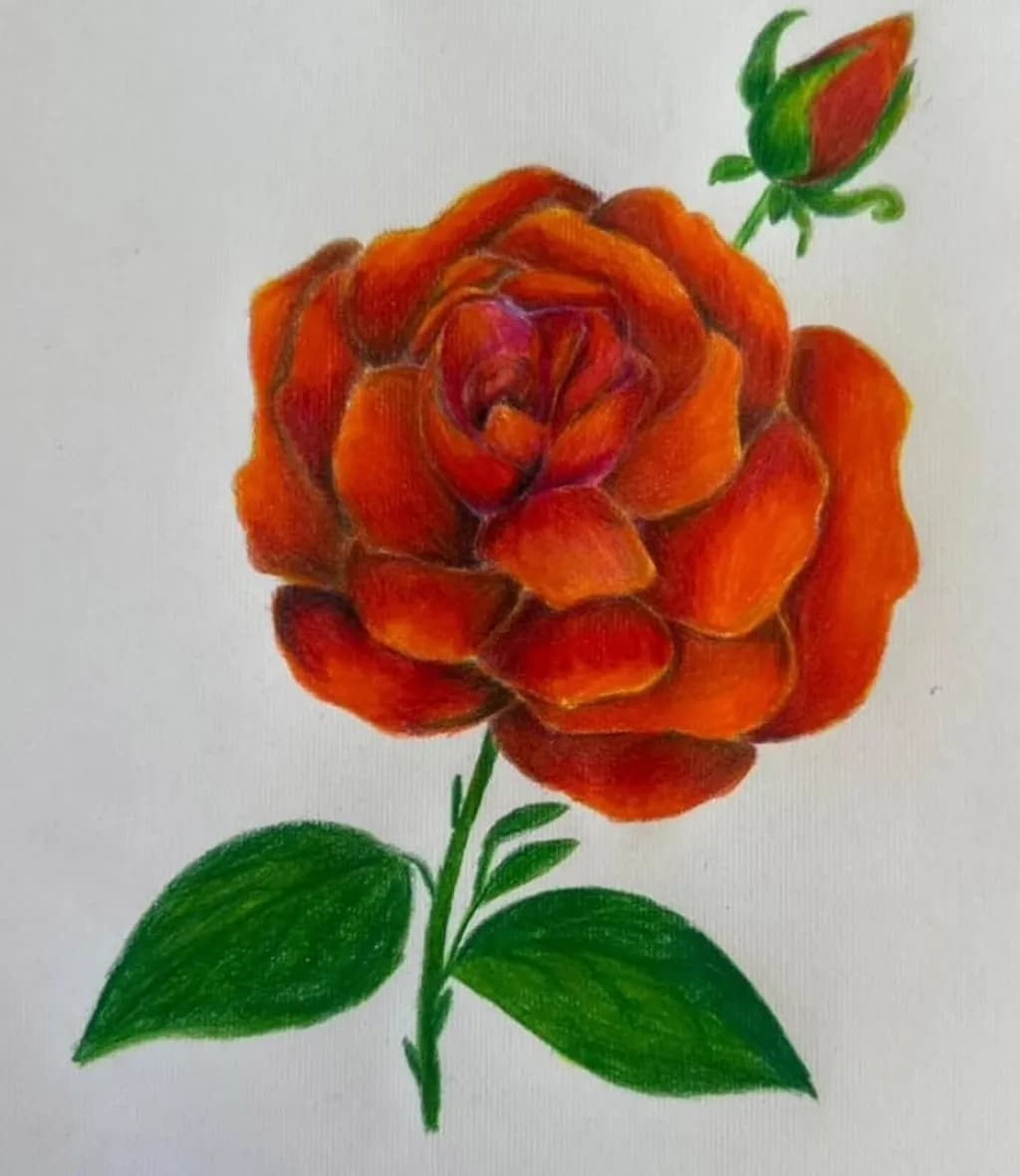 Crimson Bloom