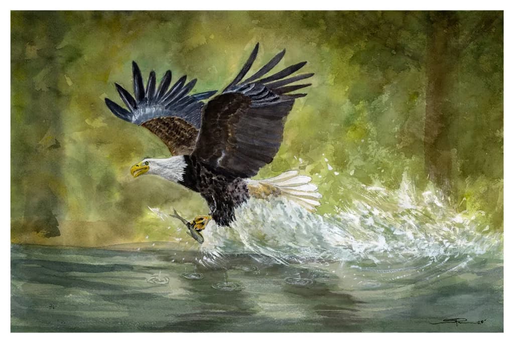 Precision Catch