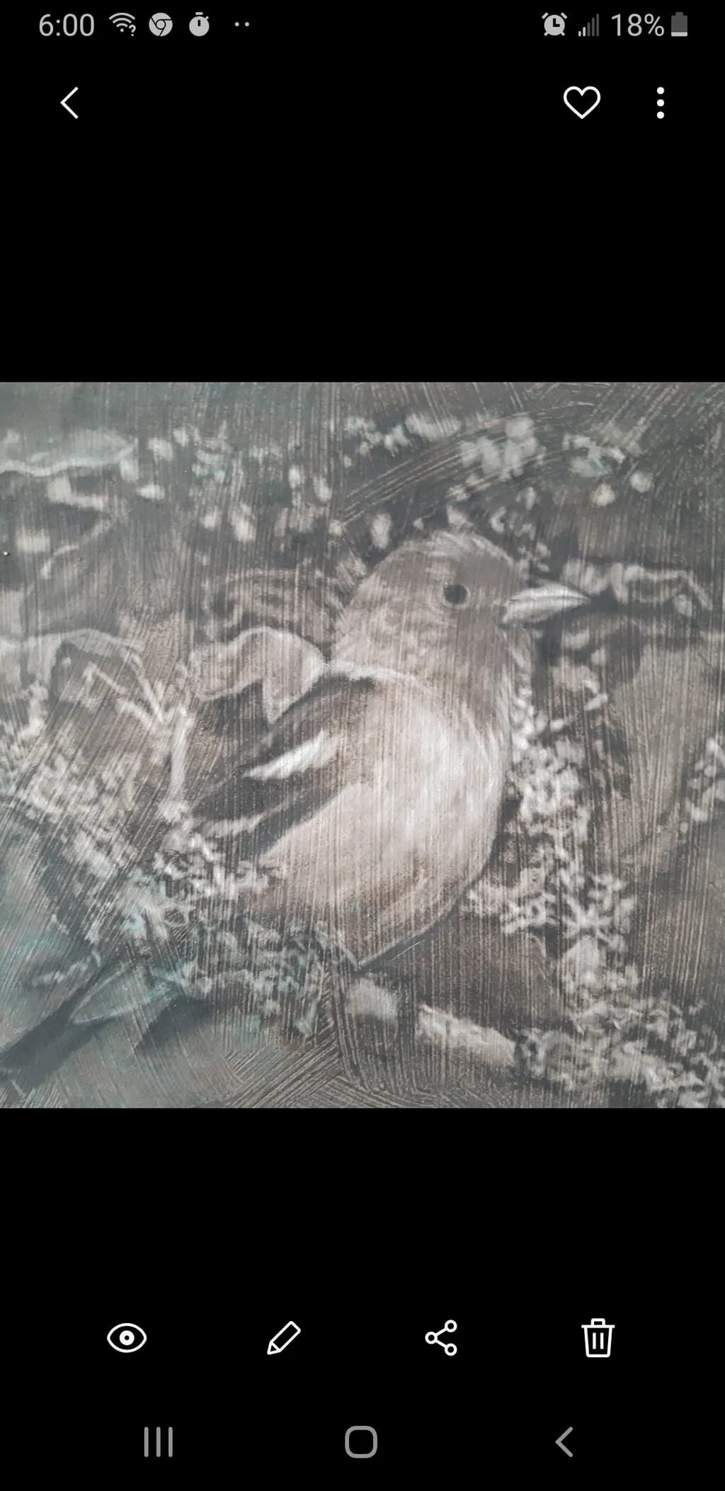 Quiet Finch