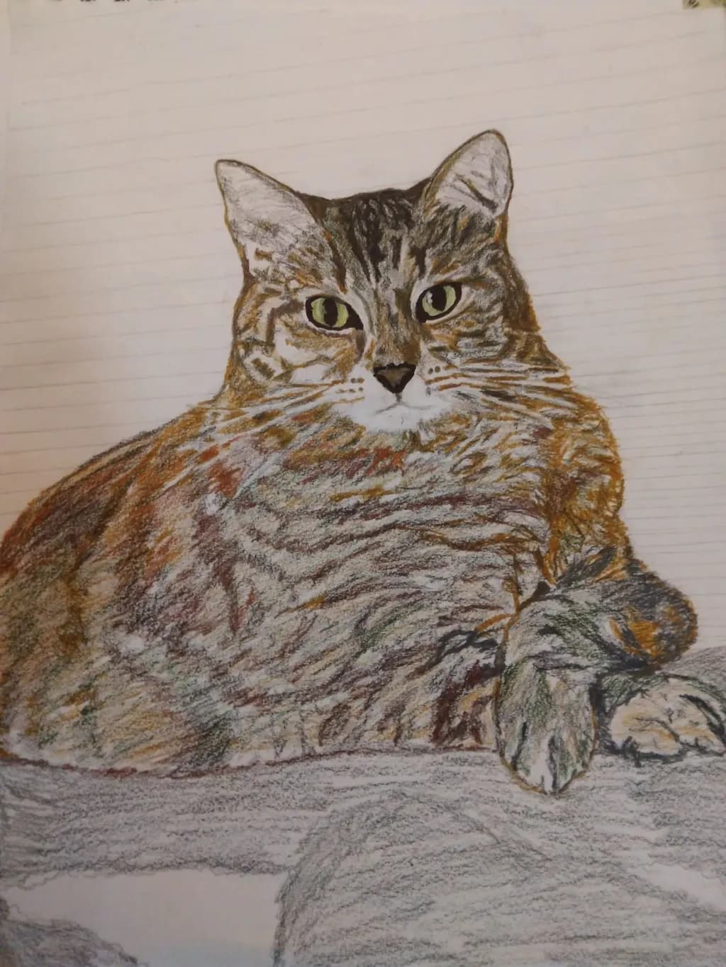 Reclining Tabby