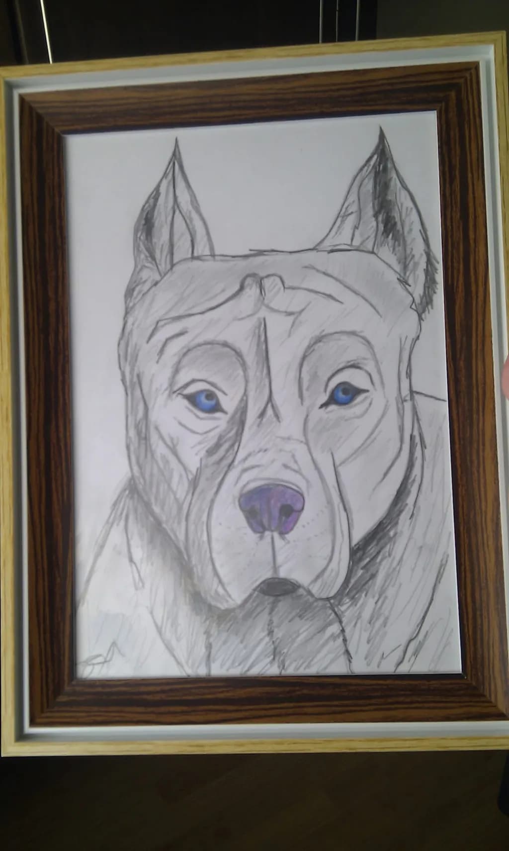 Blue-Eyed Guardian