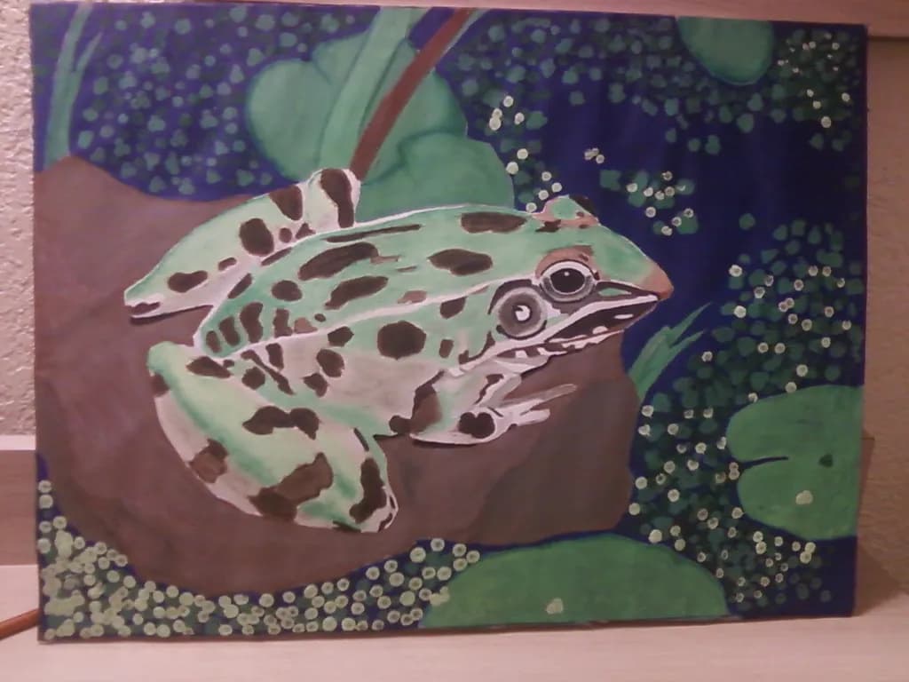 Spotted Lily Frog