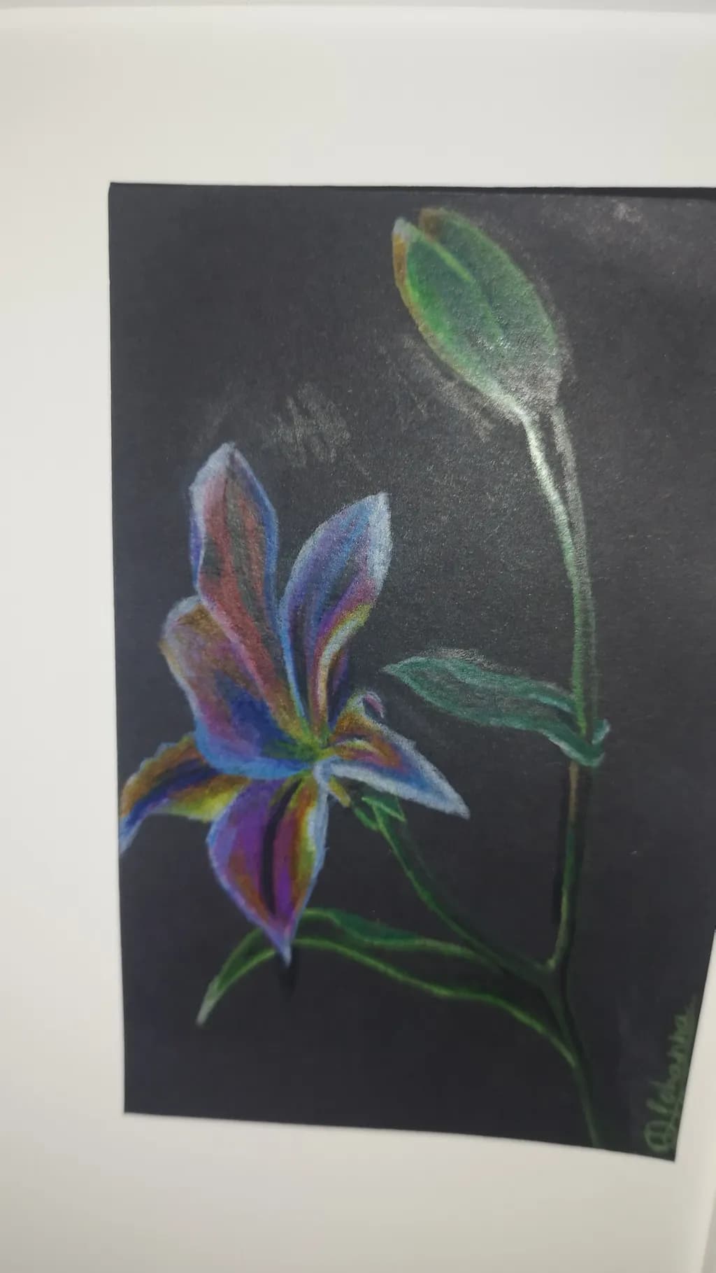 Radiant Bloom