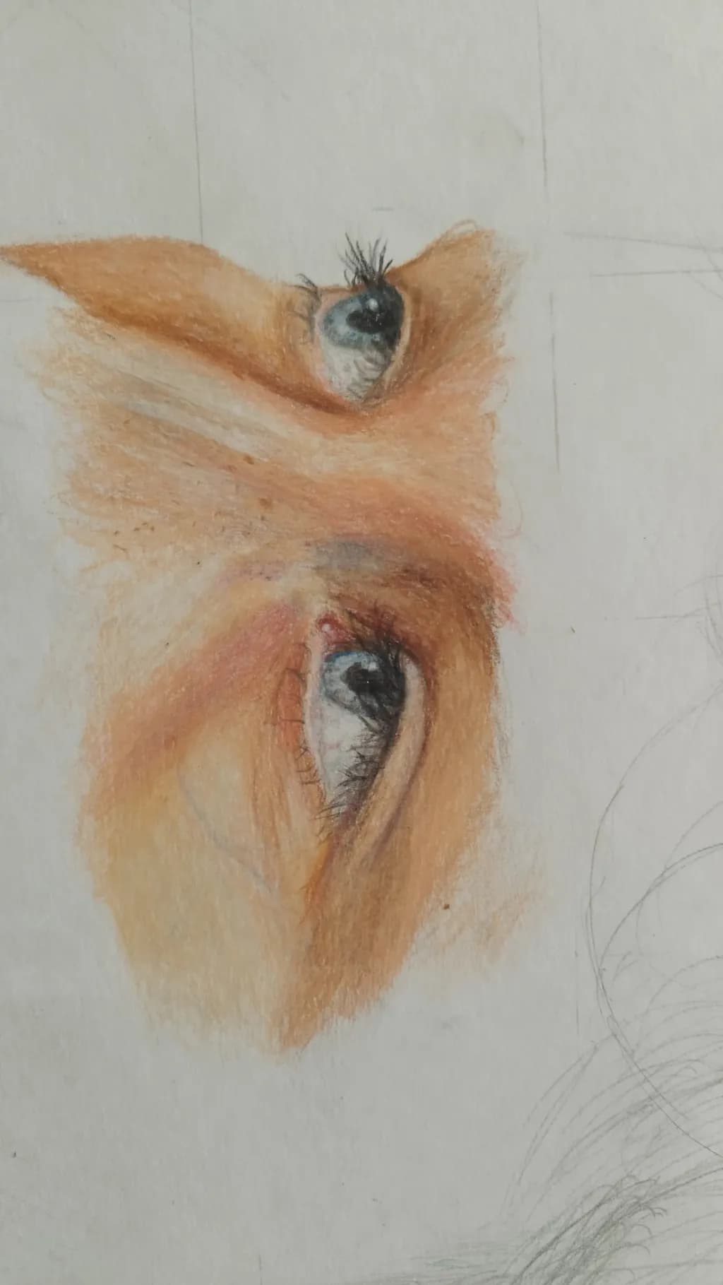 Gaze Study