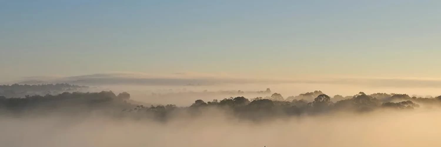 Profilbanner