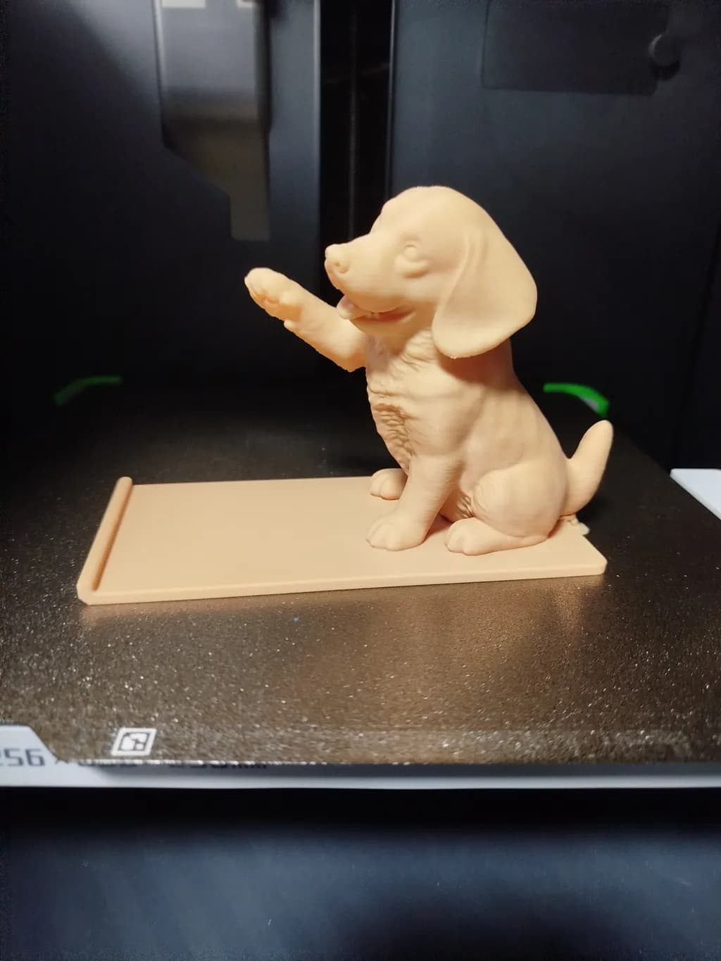 Puppy Salute