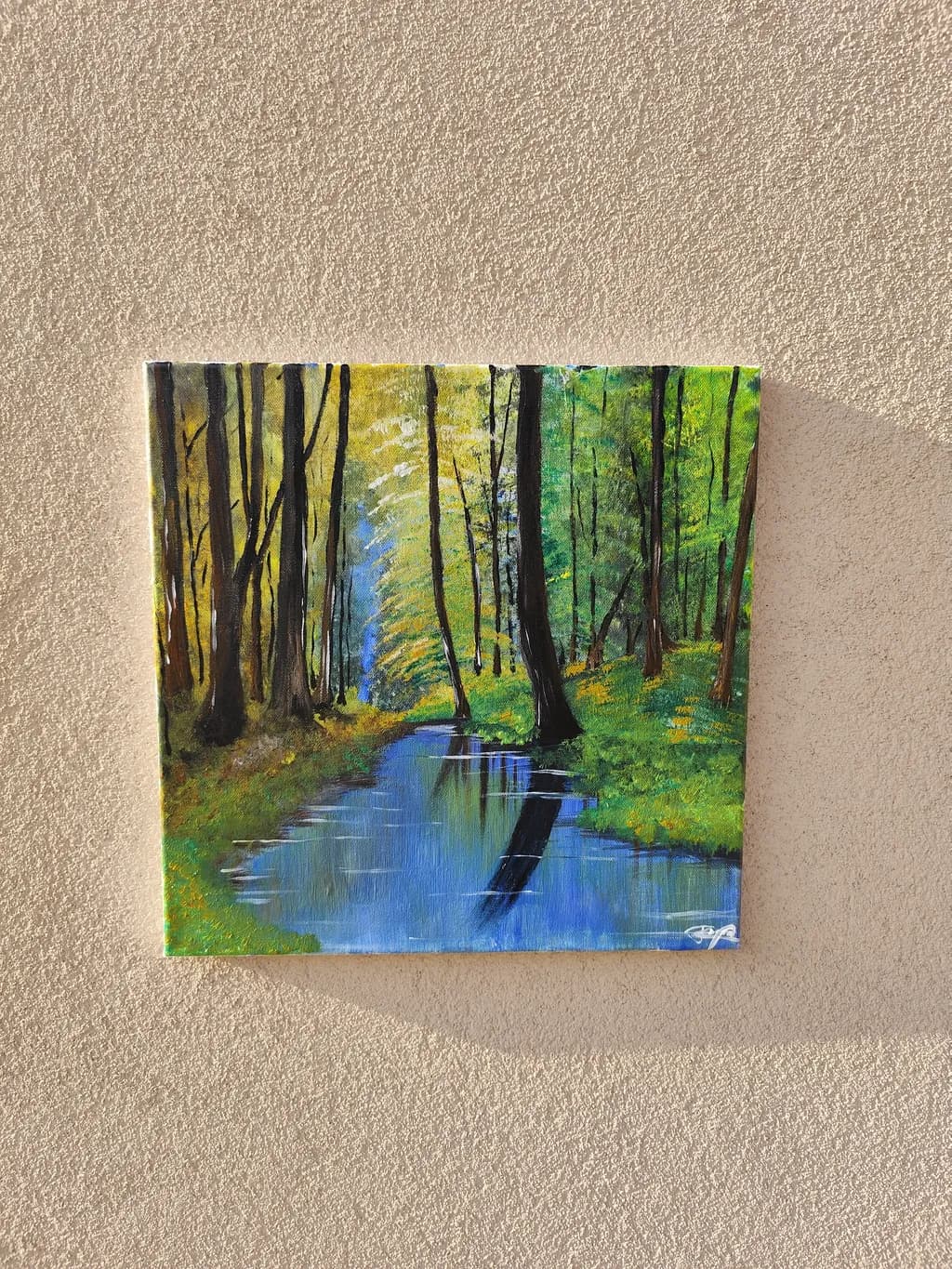 Forest Stream Reflection
