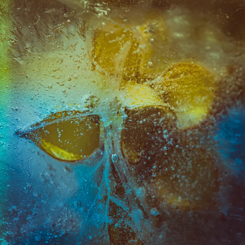 Hellebore Seed Head in Ice Cube Abstract