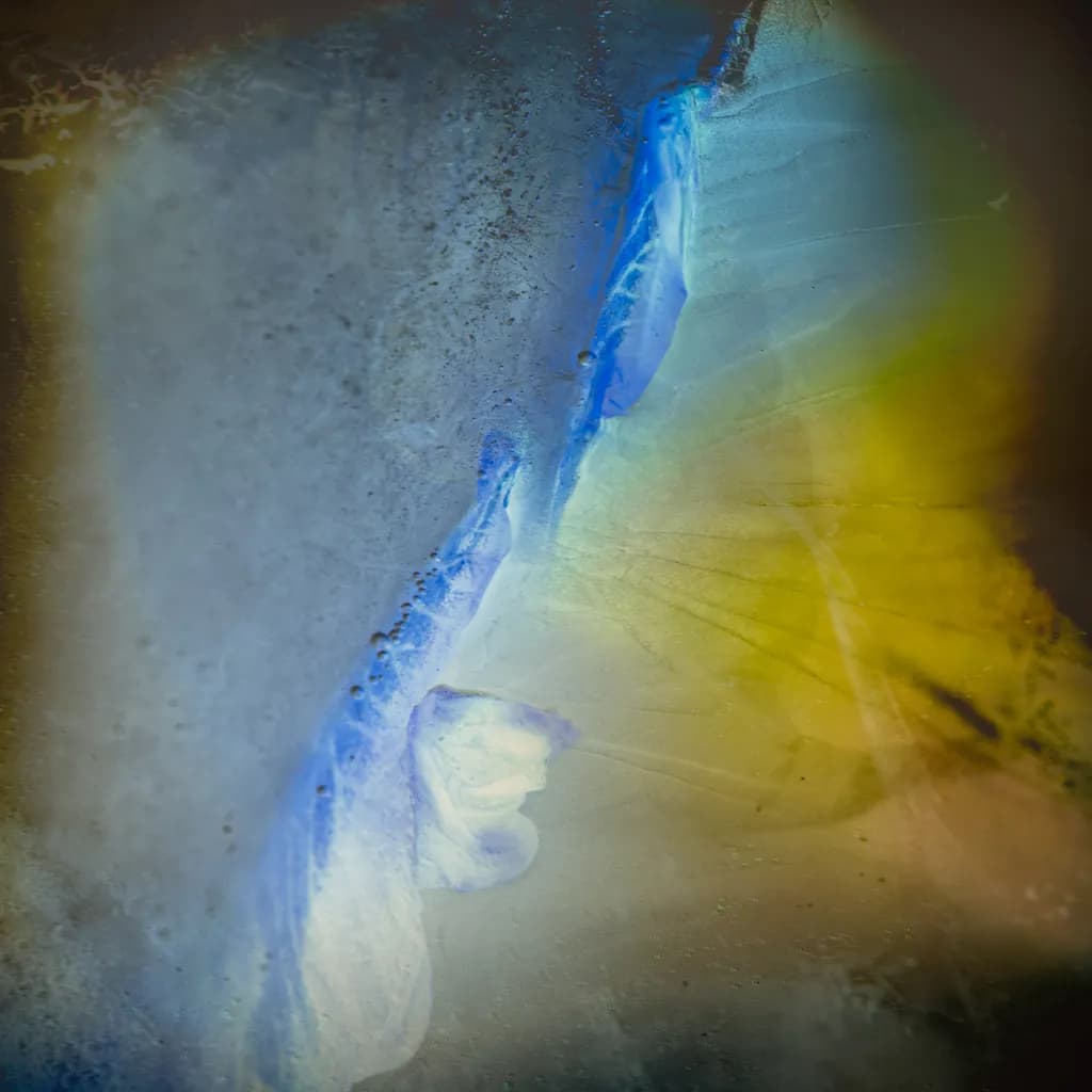 Abstraction from Primula Flower in Ice