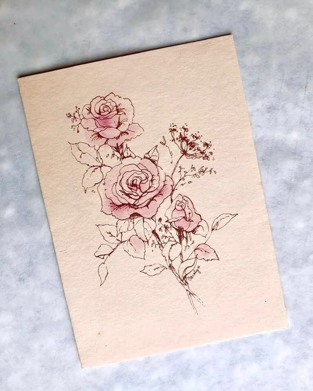 Ink and Blush Roses