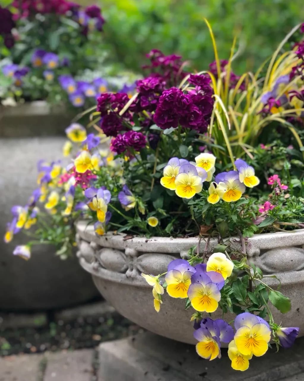 Garden Radiance