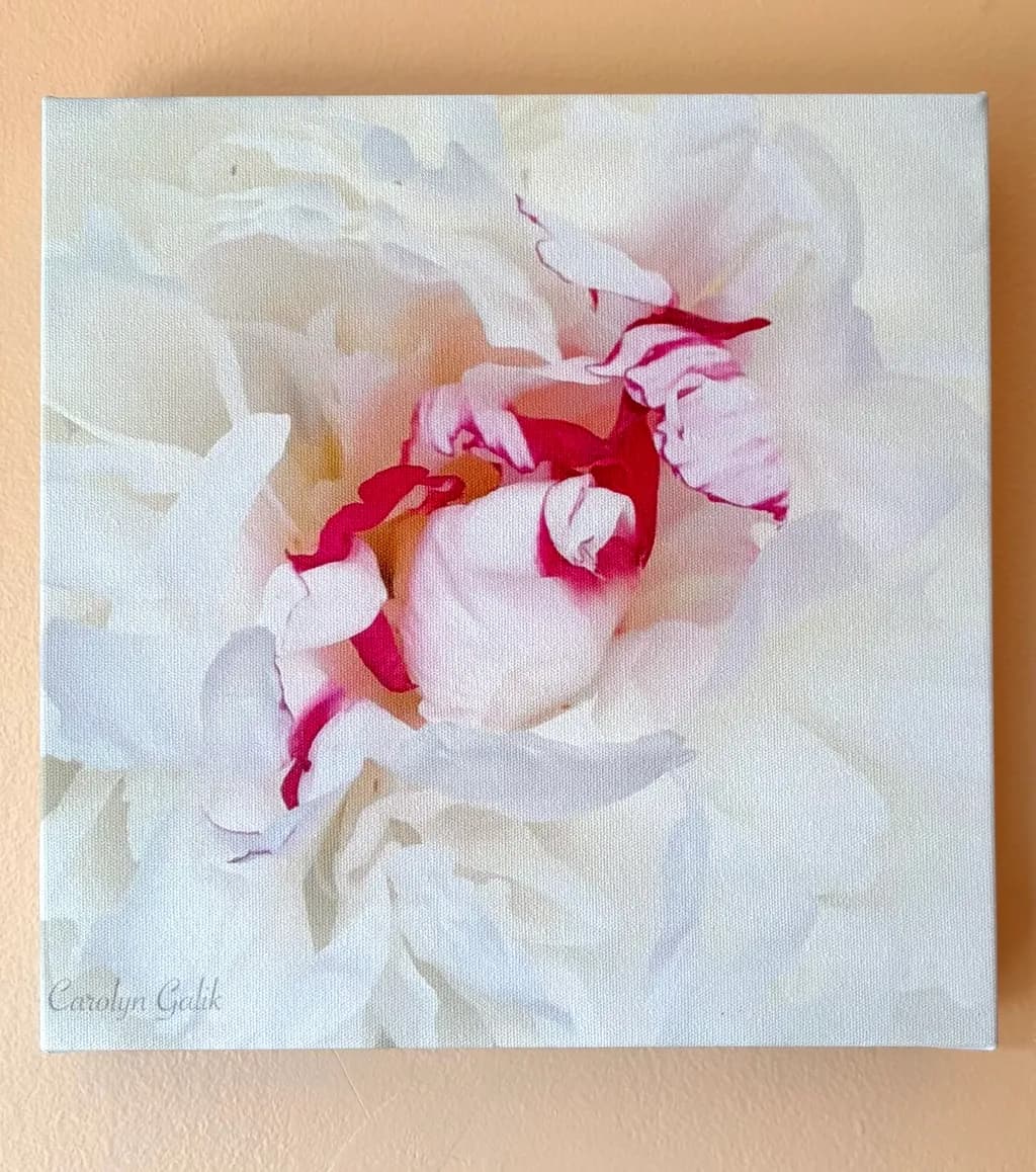 Blushing Peony