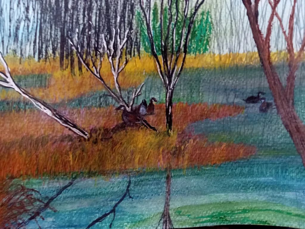 Autumn Refuge